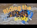 Riding the snake with dave hansen whitewater rafting  first time rafting on the snake river wyoming