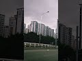 #손빈아#자연이좋아 #자연치유