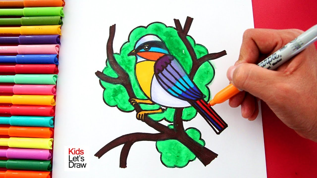 Emulación Surtido Rodeo Cómo Dibujar y Pintar un PÁJARO de Colores paso a paso - KidsLetsDraw -  YouTube