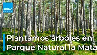 Plantamos ÁRBOLES en el PARQUE NATURAL de la Mata