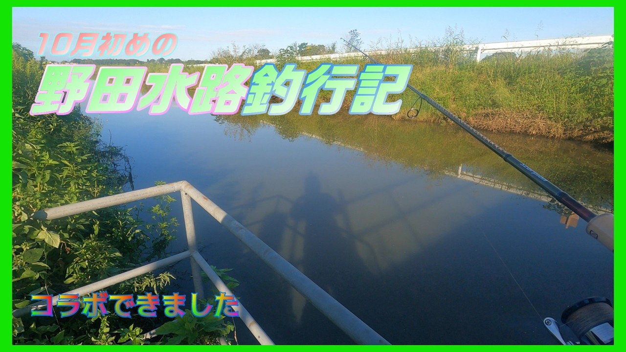 【バス釣り】視聴者さんとYoutuberさんと数名で野田水路釣行楽しんできました。