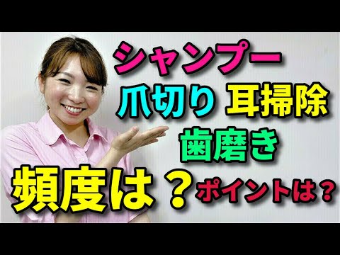 【犬 お手入れ】お手入れの質問に答えます（足拭き、目ヤニ拭き、耳掃除、ブラッシング、歯磨き、シャンプー、爪切り、肛門腺絞り、カット）【犬のしつけ＠横浜】by遠藤エマ