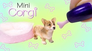 Miniature Corgi Puppy Tutorial // DIY Dolls/Dollhouse