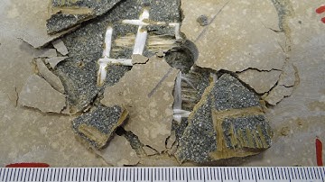 Recommendation for Rieder C