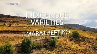 Maratheftiko (Indigenous Varieties Of Cyprus)