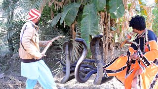 new snakes video 2022 | two jogi catch the five black cobra snake at banana tree