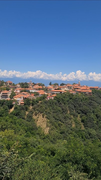 Signaki 🇬🇪#Сигнаки #Грузия #georgia #საქართველო #조지아 #სიღნაღი #travel ...