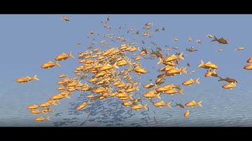 500 Goldfish - fish flocking behaviour in Unity3D.