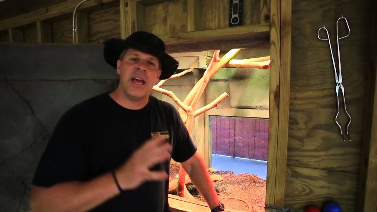 family friendly resorts Additional Footage From