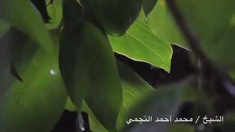 تلاوة رائعة من سورة الزخرف بصوت الشيخ الفاضل أبو حمزة محمد بن أحمد يحي النجمي حفظه الله