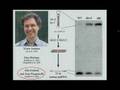 Return to the RNAi World: Rethinking Gene Expression and...