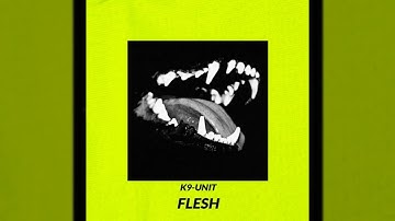 K9-UNIT - FLESH! [Prod. PULSE] ft. GOTH x KILL EBOLA x FABI DHABI x APACHE x GHOSTOFBLU x HXNJV