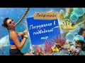 Путешествие на Красное море Израиля | Погружение в Подводный Мир