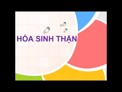 Video: Sàng Lọc Sinh Hóa: Nên Làm Hay Không