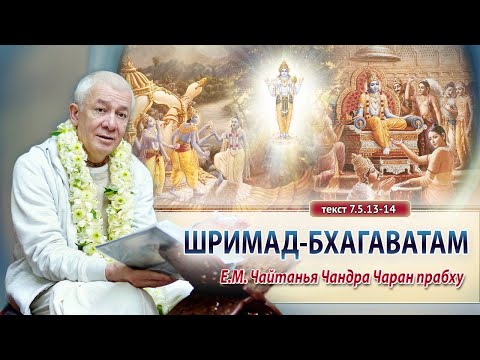 26/01/2024 Шримад-Бхагаватам 7.5.13-14. Е.М. Чайтанья Чандра Чаран прабху. Вриндаван парк