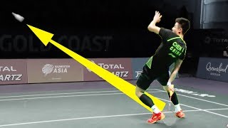 Top 25 Badminton Trickshots  2017 Edition