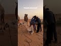 More Before After Shots From MauritaniaрџђЄ Travelvlog Africa Dronevideo Timelabpro Mauritania More Before After Shots From MauritaniaрџђЄ Travelvlog Africa Dronevideo Timelabpro Mauritania
