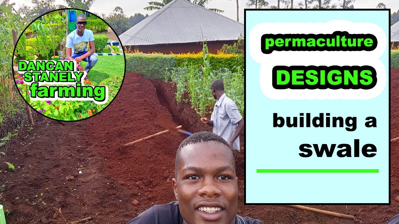 PERMACULTURE DESIGNS: Building a Swale - YouTube