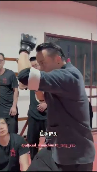 Master Tu Tengyao | Arts of Fighting