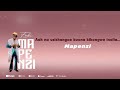 Fabi-Mapenzi Lyrics Video