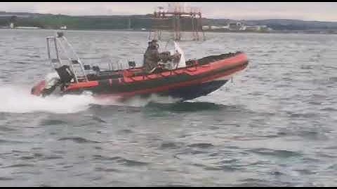 WhatsApp Video 2022 07 03 at 8 35 52 AM