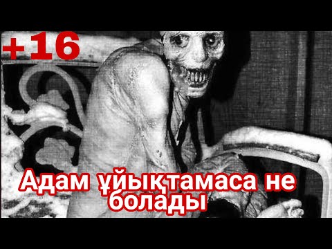 Бейне: Мысыр сфинксінің пропорцияларында не дұрыс емес