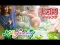 ★ モーリーファンタジー ☆ Mollyfantasy ★ １万円！ クレーンゲーム チャレンジ ☆201…