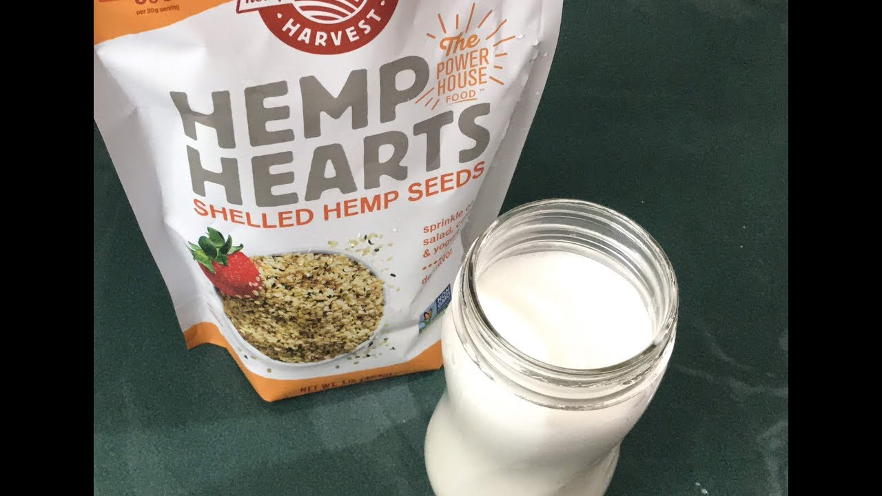 HOMEMADE HEMP MILK YouTube