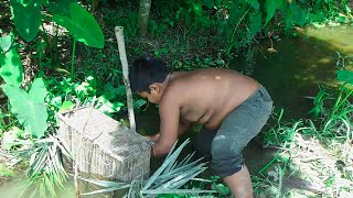 Amazing Fishing Trap - Wonder Boy Catching Fish With Bamboo Cage - Best Fish Trapping System