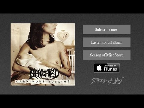 Benighted - Experience Your Flesh