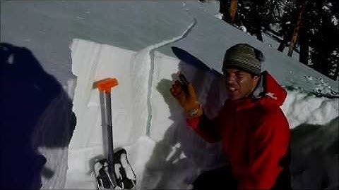 Beehive and Middle Basin Avalanches - 27 Dec 13