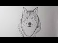 Como dibujar un lobo paso a paso  how to draw a wolf step by step