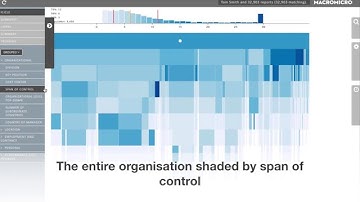 OrgInsight — Spans and Layers