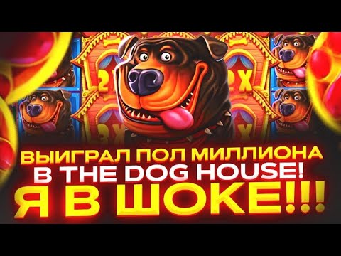 Слот дог хаус демо dog houses info