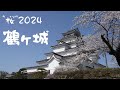 2024 ”桜” 鶴ヶ城