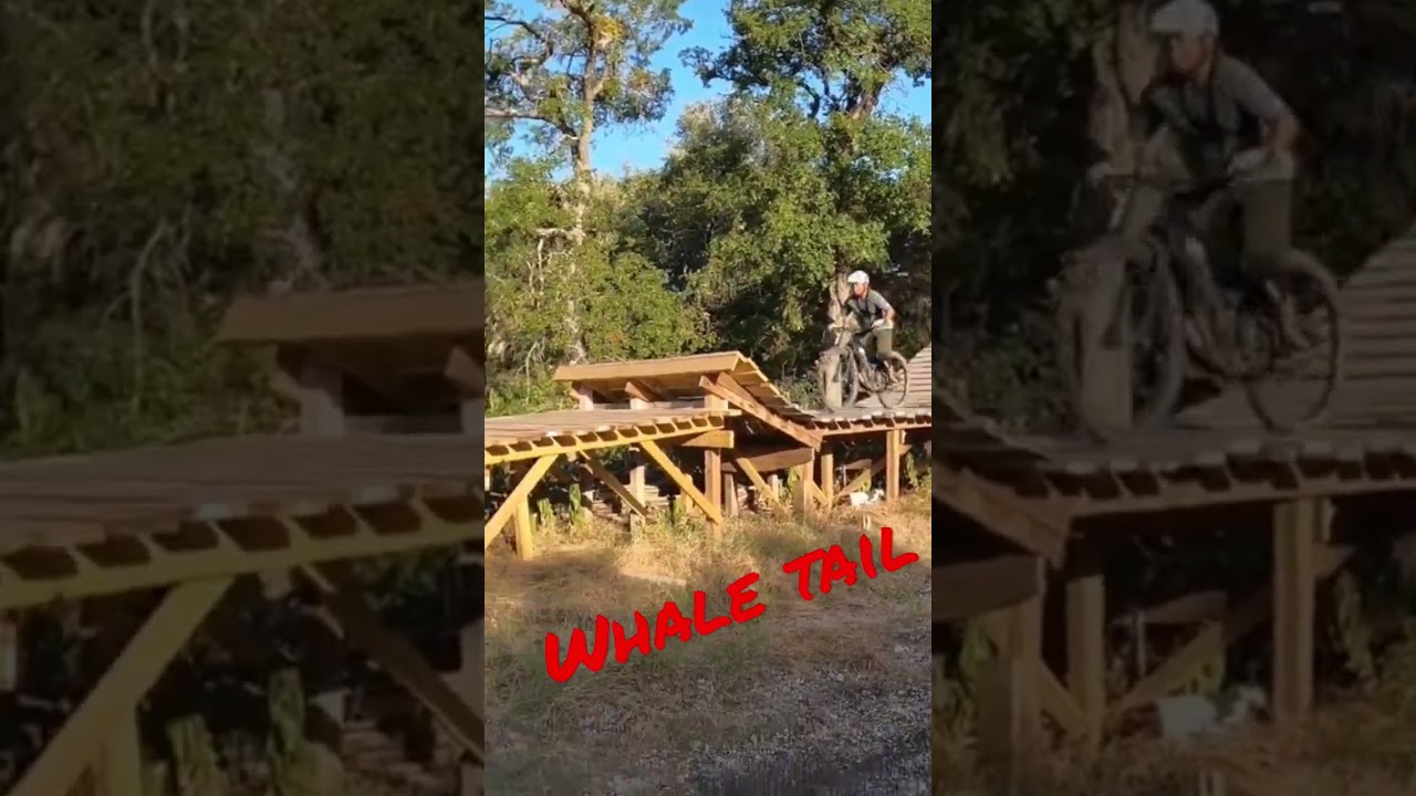 suburban ninja cedar Park,Tx 