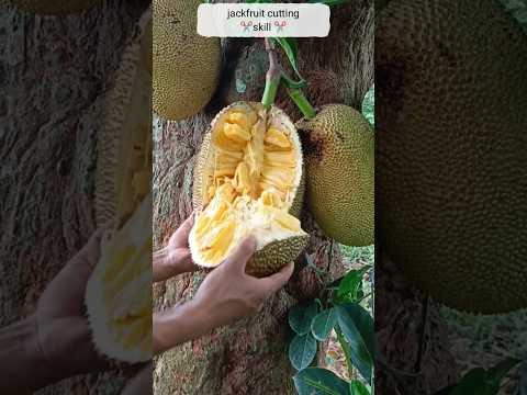 satisfy jackfruit cutting skill 😋👍😁#shorts #youtubeshorts #trending #jackfruit