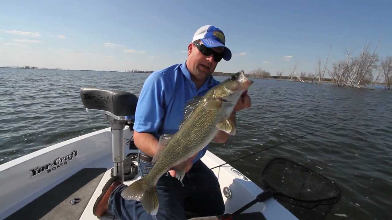 Casting Soft Plastics for Walleye 