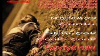 Seni Seviyorum Mesut