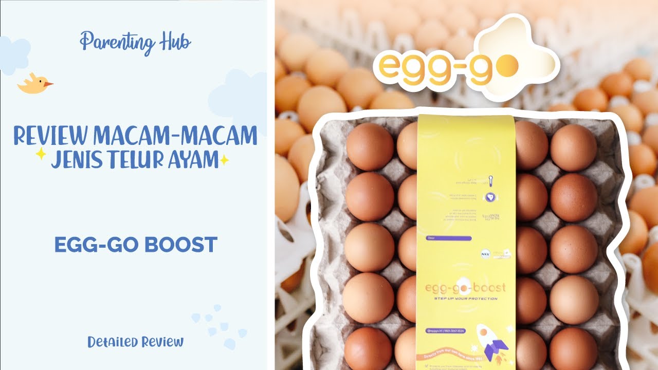 TELUR OMEGA 3 LEWAT! INI DIA TELUR TERBAIK!! Aman untuk dikonsumsi mentah & MPASI Anak YouTube