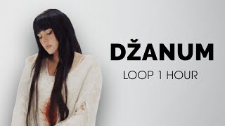 Teya Dora - džanum (Lyrics ) Loop 1 hour