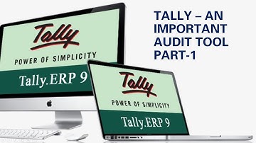Tally – An important audit tool - Part- 1 - CA Punit Mehta