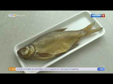 Россия 1. Здоровье. Ботулизм - от крупной вяленой и копченой рыбы