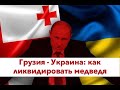 Срочный стрим с Тбилиси: как Украине и Грузии угомонить российского Гитлера