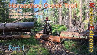 Horseshoe Creek Trail - Part 1 - Some Claim this is the Hardest Trail CO has to Offer!