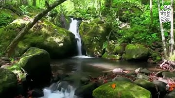 تحفيض القران الكريم للكبار برواية ورش (الثمن السابع من الحزب الاول)