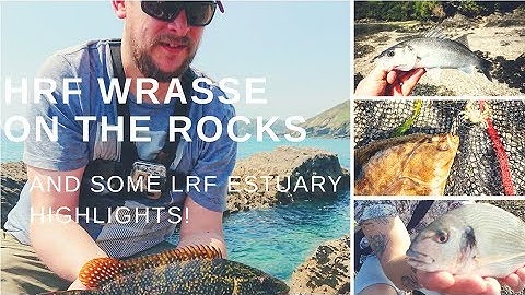 HRF Wrassing and some LRF Estuary Highlights