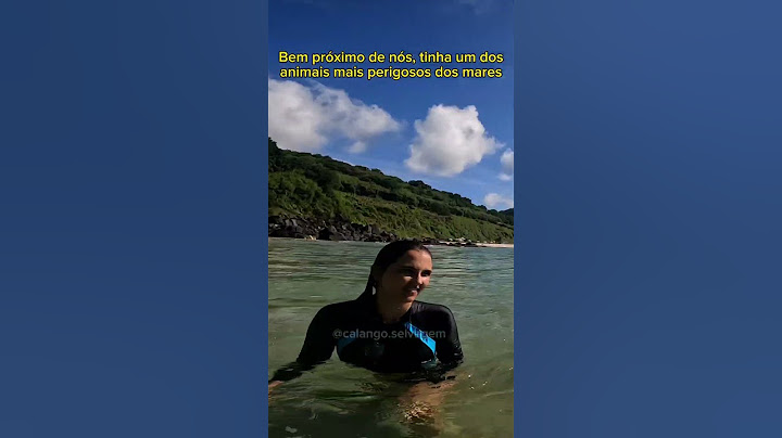 UM DOS ANIMAIS MAIS PERIGOSOS DO MAR