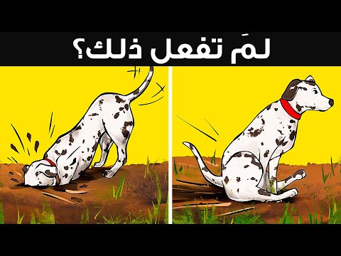 المعنى الحقيقي لـ 19 سلوكاً غريباً للكلاب