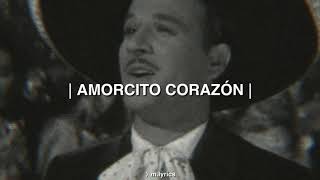 Video thumbnail of "AMORCITO CORAZÓN - PEDRO INFANTE (LETRA)"